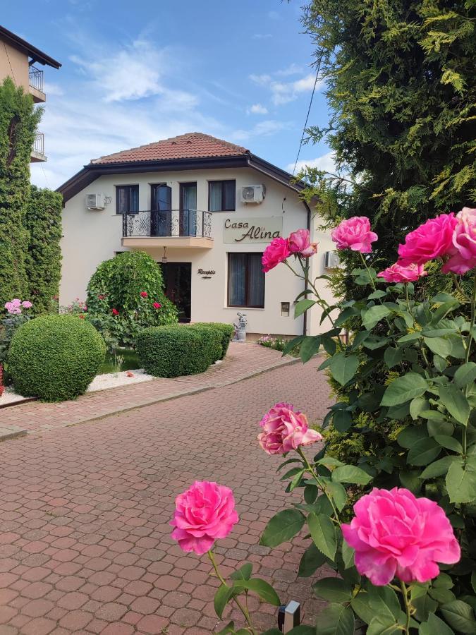 Casa Alina Hotel Deva Eksteriør billede